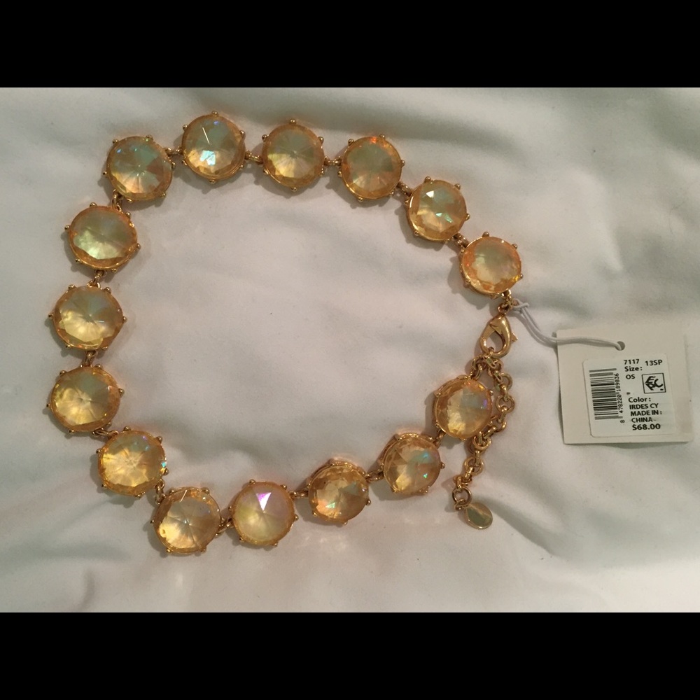 NWT iridescent necklace